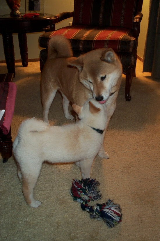 NBA与迪士尼、亚马逊、NBC谈判新转播协议,金额达760亿美元