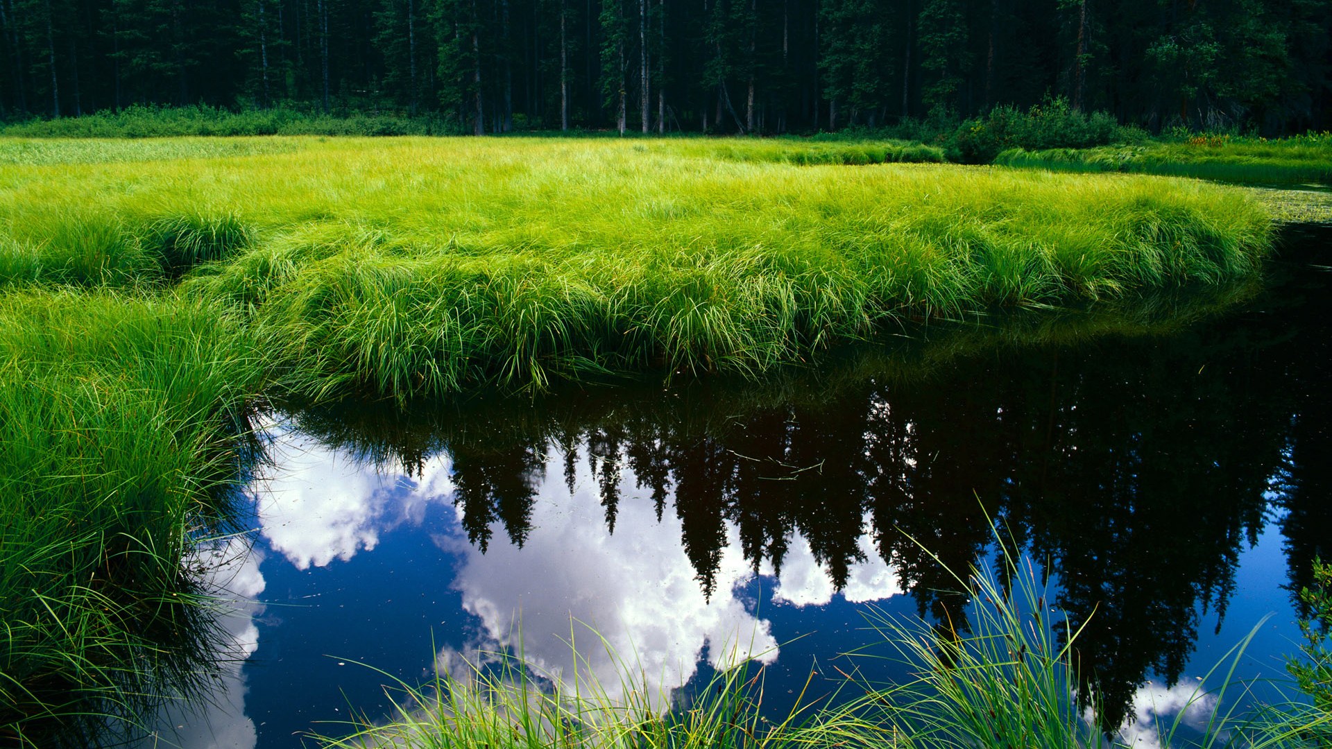 NBA为球员制定可持续生活指南，响应全球环保倡议，nba生涯持球时间排行榜