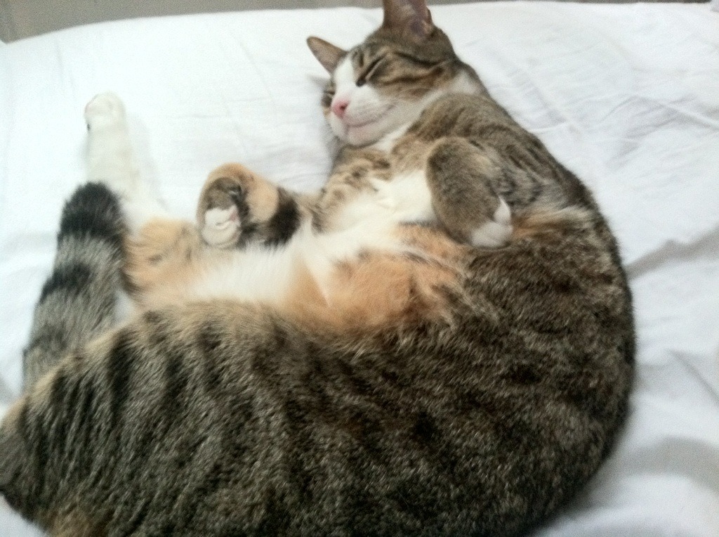 爱游戏中国官方登录入口网站-NBA与迪士尼、亚马逊、NBC谈判新转播协议,金额达760亿美元