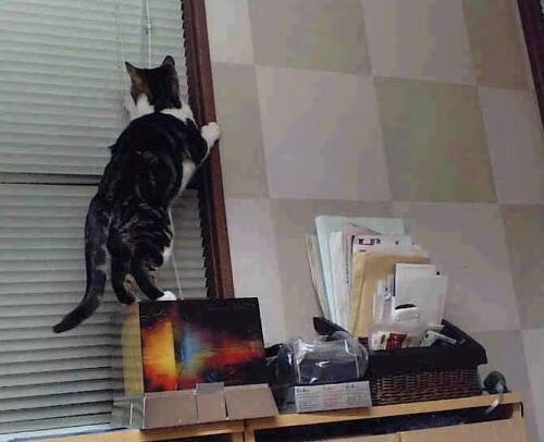 爱游戏体育app-WRC装备升级:最新技术带来的速度变革,wrc1