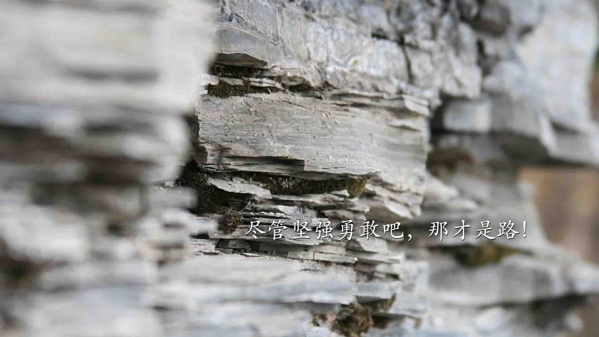 爱游戏娱乐-【纪录片推荐】带你了解棒球的魅力，棒球节目