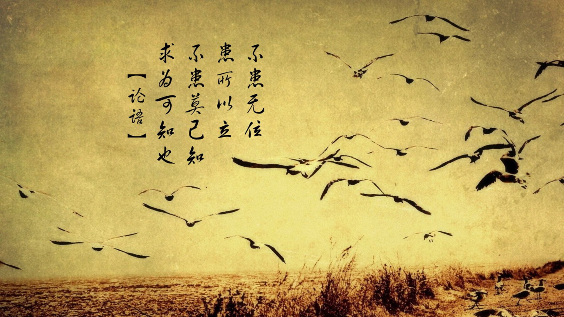 历史性对决：两支球队的宿命之战，历史性对照试验是什么